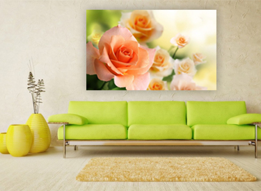 Fotografie na plátně | Nejlevnejsi-fotoobrazy.cz